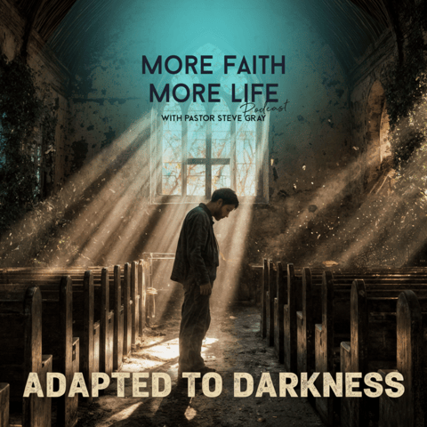 Adapted to Darkness | # 131