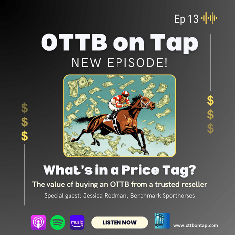 Ep. 13: What's a price tag? The value of buying an OTTB from a trusted reseller