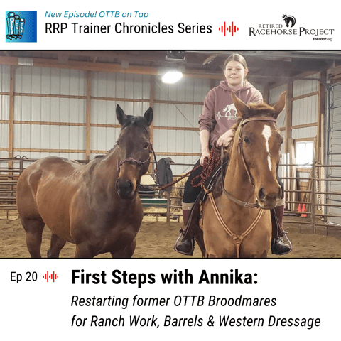 Ep 20 - First Steps with Annika: Restarting former OTTB Broodmares for Ranch Work, Barrels & Western Dressage
