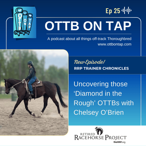Ep 25: Uncovering those 'Diamond in the Rough' OTTBs with Chelsey O'Brien