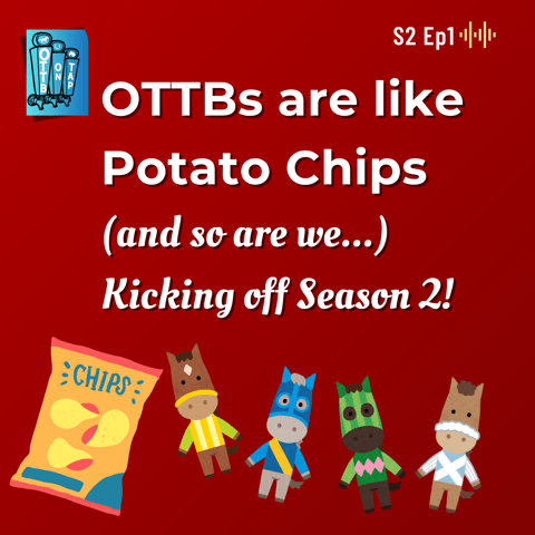 S2 Ep1: OTTBs are like Potato Chips, and so are we! Kicking off Season 2!