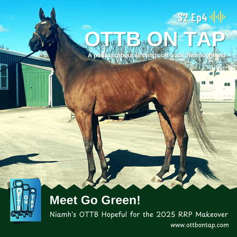 S2 E4: Meet Go Green: Niamh's OTTB Hopeful for the 2025 Retired Racehorse Makeover