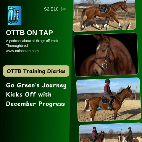 S2 E10: OTTB Training Diaries: Go Green (Oscar)'s Journey Kicks Off with December Progress