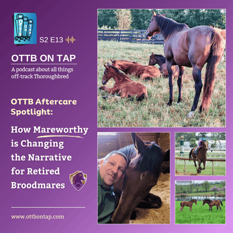 S2 E13: OTTB Aftercare Spotlight: How Mareworthy is Changing the Narrative for Retired Broodmares