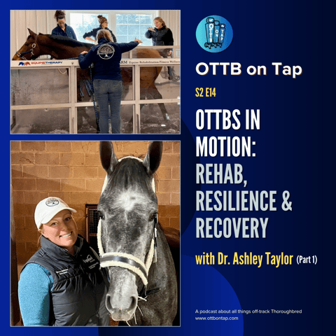 S2 E14: OTTBs in Motion: Rehab, Resilience & Recovery with Dr. Ashley Taylor (Part 1)