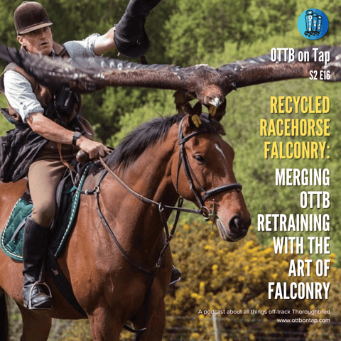 S2 E16: Recycled Racehorse Falconry - Merging OTTB Retraining with the Art of Falconry