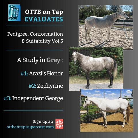 OTTB on Tap Evaluates Vol 5: A Study in Grey - Arazi's Honor, Zephyrine & Independent George