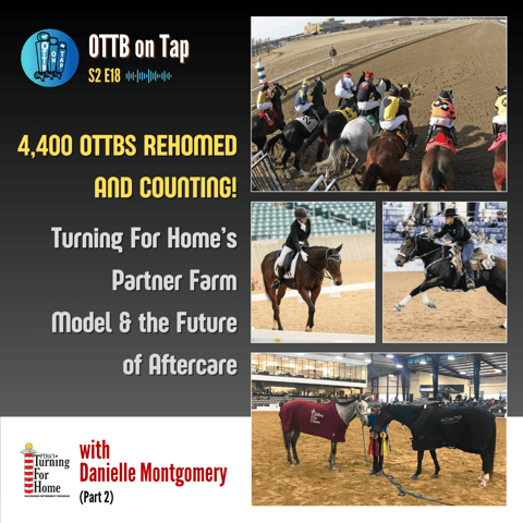 S2 E18: 4,400 OTTBs Rehomed and Counting! Turning For Home’s Partner Farm Model & the Future of Aftercare