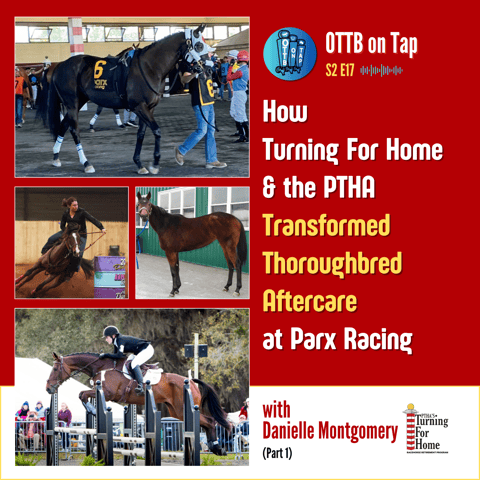 S2 E17: How Turning For Home & the PTHA Transformed Thoroughbred Aftercare at Parx Racing