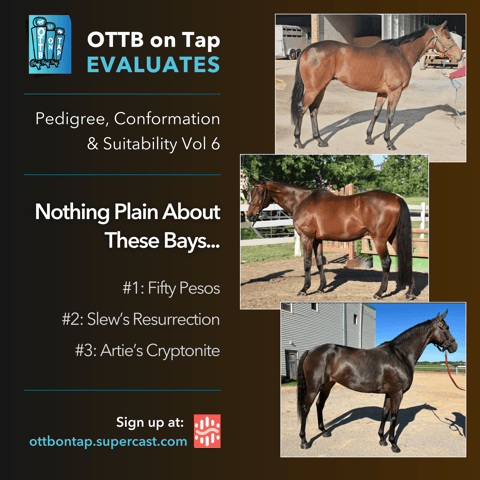 Preview: OTTB on Tap Evaluates Vol 6: Nothing Plain About These Bays!