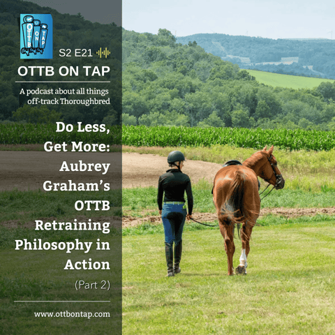 S2 E21: Do Less Get More: Aubrey Graham's OTTB Retraining Philosophy in Action (Part 2)