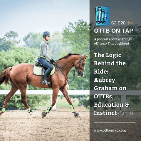 S2 E20: The Logic Behind the Ride — Aubrey Graham on OTTBs, Education & Instinct (Part 1)