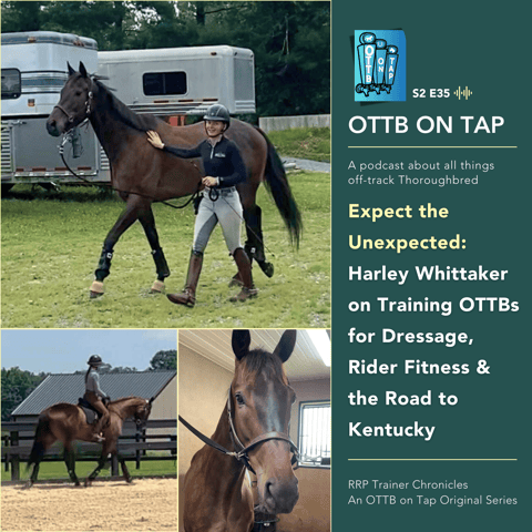 S2 E35: Expect the Unexpected: Harley Whittaker on Training OTTBs for Dressage,  Rider Fitness & the Road to Kentucky | RRP Trainer Chronicles