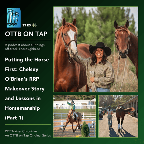 S3 E5: Putting the Horse First: Chelsey O’Brien’s RRP Makeover Story and Lessons in Horsemanship (Part 1)