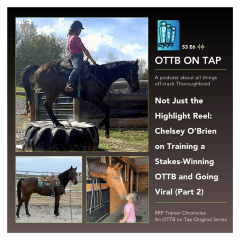 S3 E6: Not Just the Highlight Reel: Chelsey O’Brien on Training a Stakes-Winning OTTB and Going Viral (Part 2)
