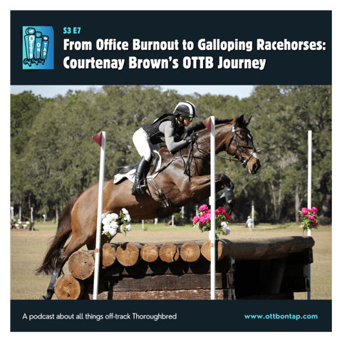 S3 E7: From Office Burnout to Galloping Racehorses: Courtenay Brown's OTTB Journey