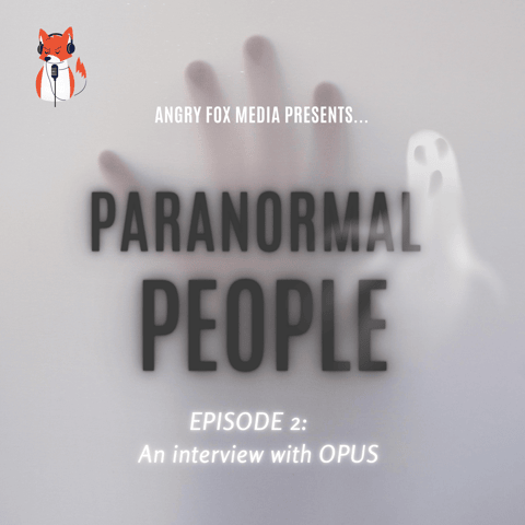 Episode 2 - An interview with OPUS