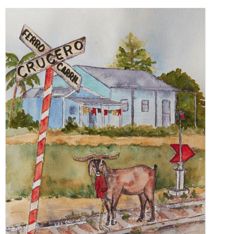 Why Are We Talking about A Goat ?