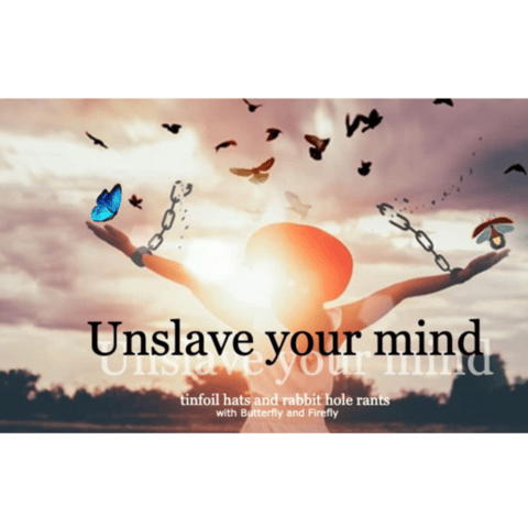 Episode 170: Yes Kings — The Uniparty Deception, Controlled Rage & the Hegelian Dialectic