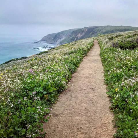 #85: Point Reyes National Seashore