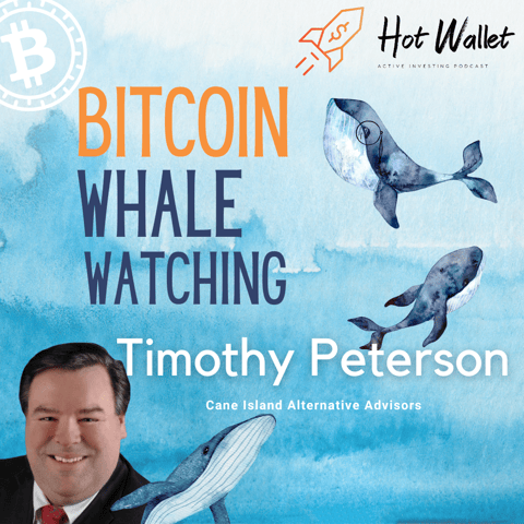 Bitcoin Whale Watching | Timothy Peterson | Hot Wallet