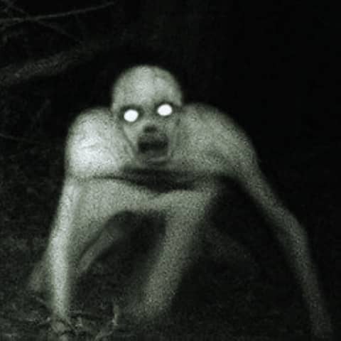 "La Bestia del Bosque" | Skinwalker Creepypasta