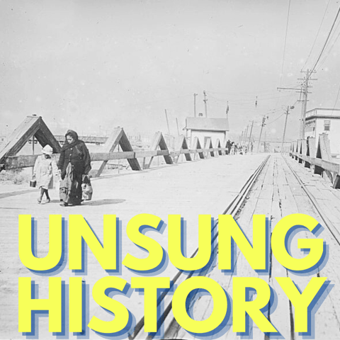 The Effect of the Mexican Revolution on Mexican Immigration to the U.S.