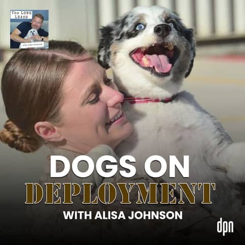 Dogs on Deployment with Alisa Johnson | The Long Leash #051