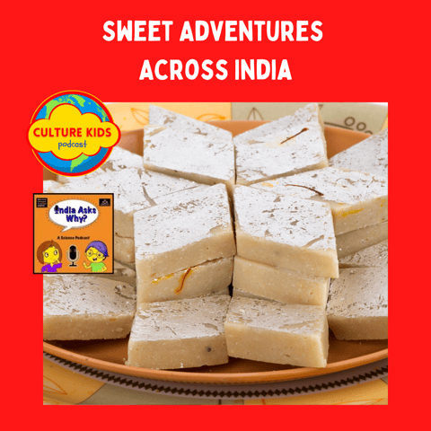 Sweet Adventures Across India