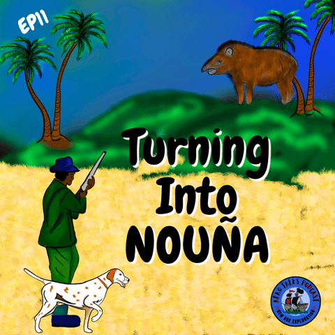 Turning into Nouna