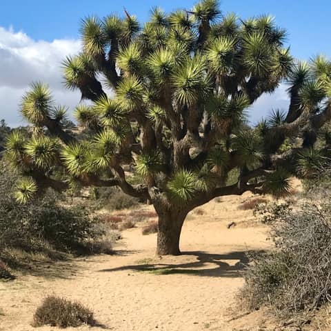 #84: Mailbag! Planning for Summer Trips and More