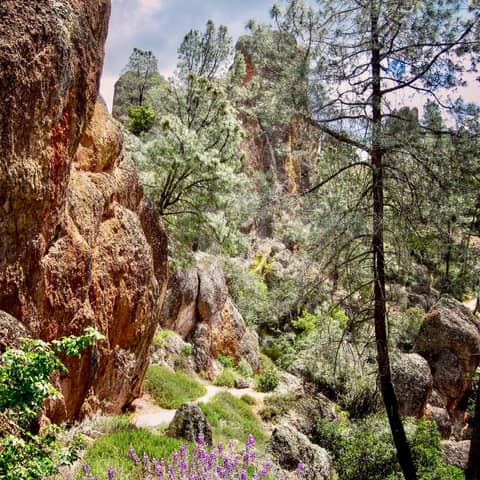 #79: Mailbag: Pinnacles National Park, and much more!