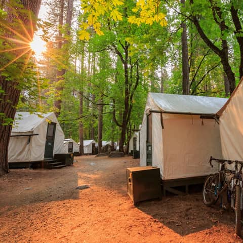 #170: Yosemite’s Curry Village: The Good, The Bad and The Scary