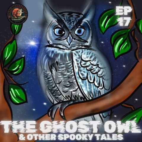 The Ghost Owl & Other Spooky Tales