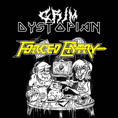 The Macrocosm of Forced Entry