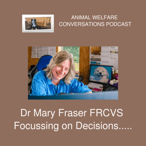 Animal Welfare and Decision Making