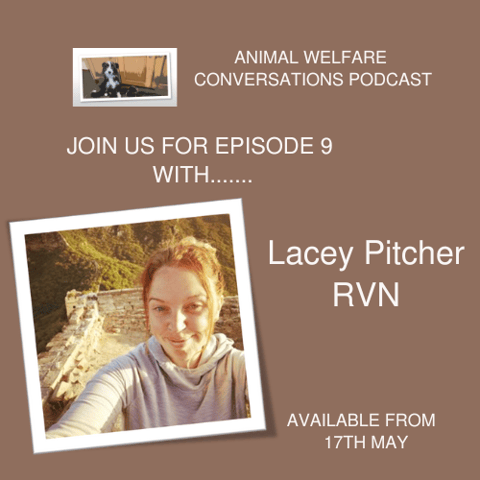 Episode 9 - Veterinary Nursing with Lacey Pitcher