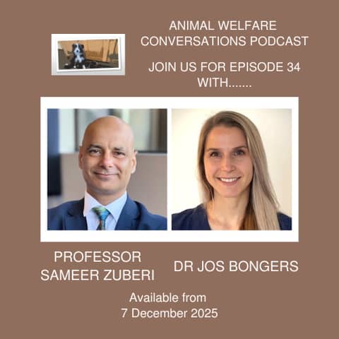 Epilepsy in Veterinary and Human Healthcare