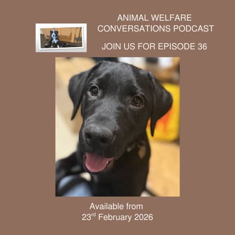 2026: New Animal welfare conversations