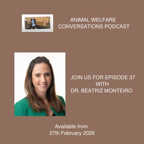 Assessing Pain, Improving Welfare: Insights from Dr Beatriz Monteiro