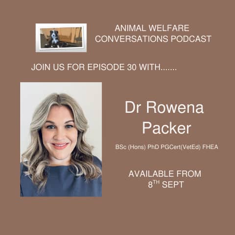 The Impact of Human Bias on Animal Welfare