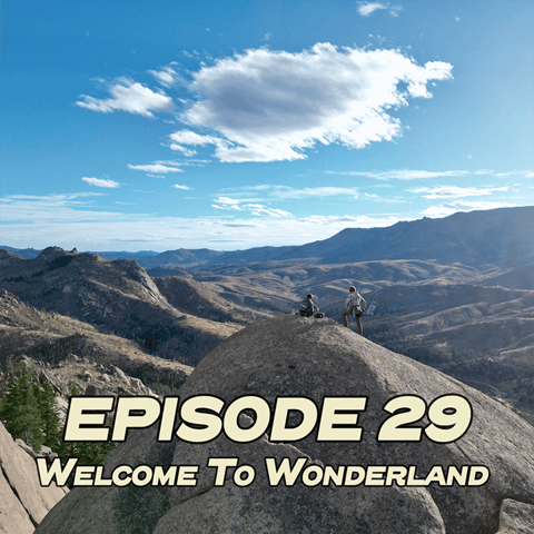 Welcome to Wonderland - New Age Development with Tal Wanish