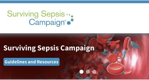 2026 Sepsis Guidelines: The 17 Strong Recommendations Everyone Needs to Know