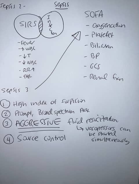 Lecture from the ICU: Sepsis