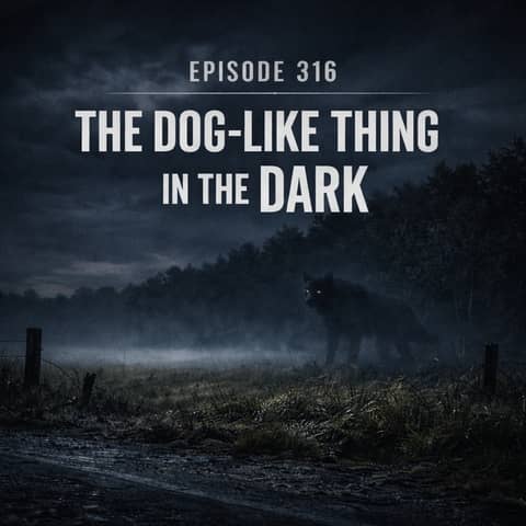 The Dog-Like Thing in the Dark
