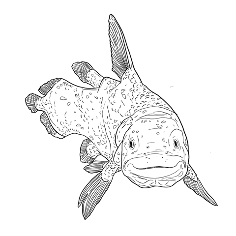 The Coelacanth