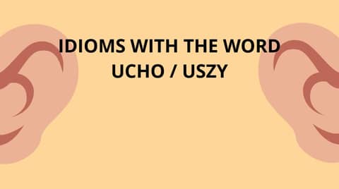 Celebrating 500 Episodes: Milestones and Polish Idioms