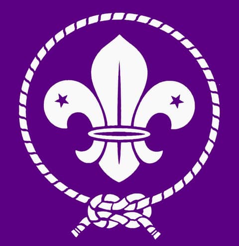 Why the Fleur-de-lis?