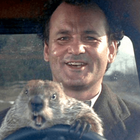 Biden vs Trump Rematch: Ground Hog Day!