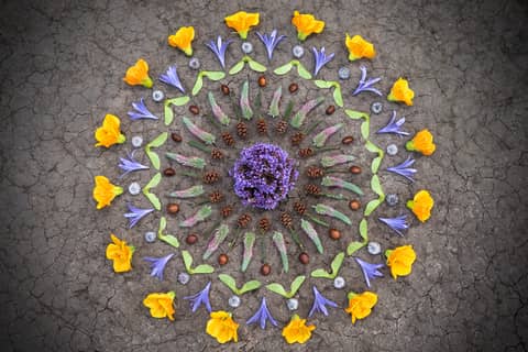 Embracing the Power of Ritual and Sacred Moments with Author Day Schildkret